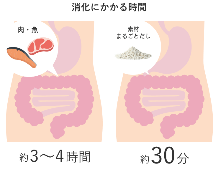 消化にかかる時間